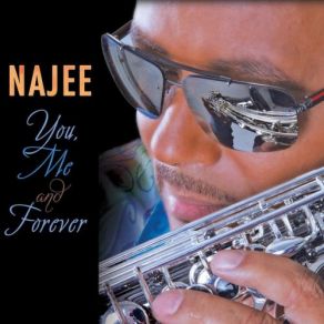 Download track Fly With The Wind Najee