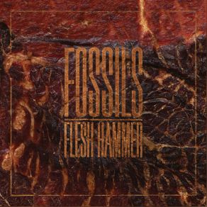 Download track Pelvis Crust Fossils