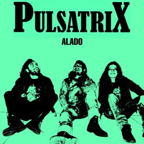 Download track Alado Pulsatrix