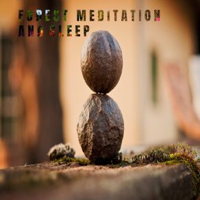 Download track The Forest Meditation And Sleep Relajación