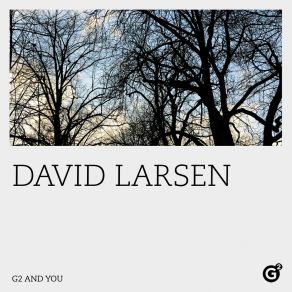 Download track Latin Silver David Larsen