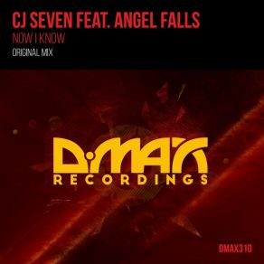 Download track Now I Know (Original Mix) CJ Seven, Angel Falls