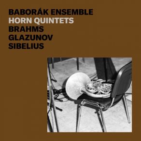 Download track String Quintet No. 2 In G Major, Op. 111- No. 4, Vivace Ma Non Troppo Presto Radek Baborák, Baborak Ensemble