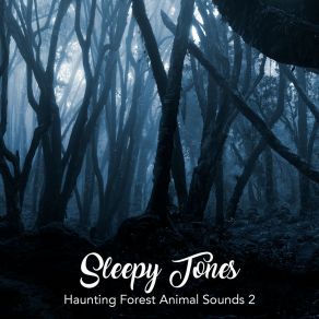 Download track Haunting Forest Animal Sounds, Pt. 15 Jason Rivers