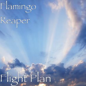 Download track 35000 Feet Flamingo Reaper