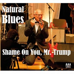 Download track Shame On You, Mr. Trump (Radio Version) Natural Blues