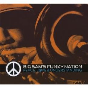 Download track The Way It Is Big Sam'S Funky Nation