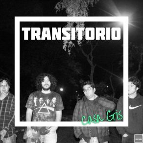 Download track Fue Culpa De Tu Error Transitorio