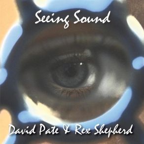 Download track Seeing Sound David Pate