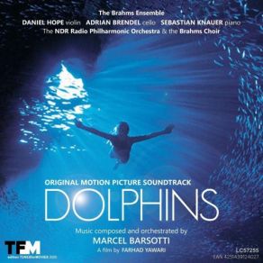 Download track Dolphins Splash Remix Marcel Barsotti