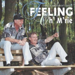 Download track Die Mooie Dagen En Nachten The Feeling