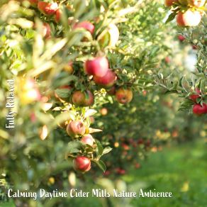 Download track Calming Daytime Cider Mills Nature Ambience, Pt. 17 Steve Brassel