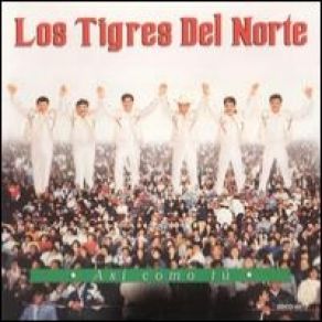 Download track Te Soñe Conmigo Los Tigres Del Norte