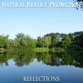 Download track Whispers Of The Wind Natural Reflex Projection