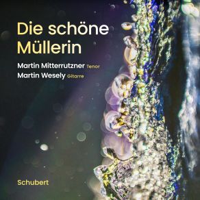 Download track Die Schöne Müllerin, Op. 25, D. 795: Die Liebe Farbe Martin Mitterrutzner, Martin Wesely