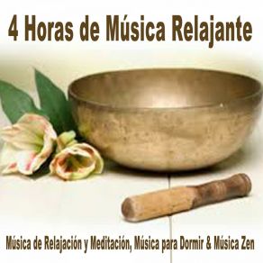 Download track Meditar Y Relajarse Profundamente Música De Relajación