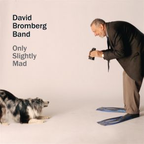 Download track You've Got To Mean It Too David Bromberg Band