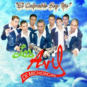 Download track Todo El Mundo A Bailar Los Avil De Michoacan