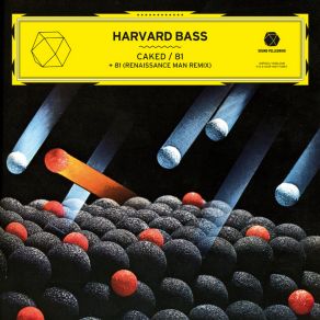 Download track 81 (Remix)  Harvard BassRenaissance Man