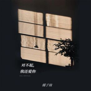 Download track 对不起，我还爱你 (伴奏) 橘子妹