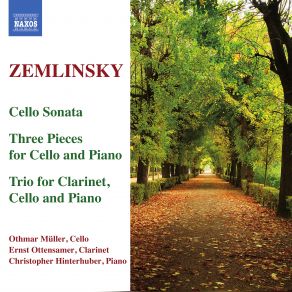 Download track Trio For Clarinet, Cello And Piano In D Minor, Op. 3 - I. Allegro Ma Non Troppo Ernst Ottensamer, Alexander Zemlinsky, Othmar Muller, Christopher Hinterhuber