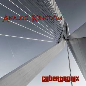 Download track Apocaliptic Trance Analog Kingdom