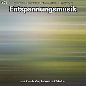 Download track Entspannungsmusik Teil 73 Entspannungsmusik