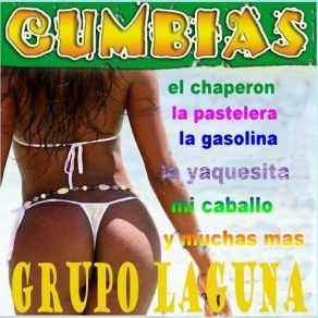 Download track Bomba Pa Bailar Grupo Laguna