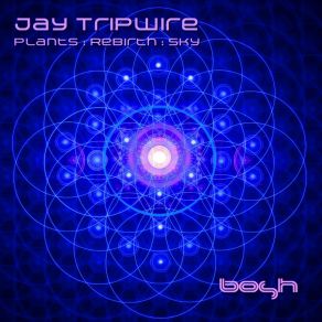 Download track Plants Rebirth Sky Jay Tripwire