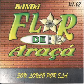 Download track Sou Louco Por Ela Acústico Banda Flor De Araçá