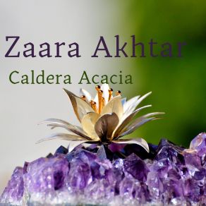 Download track Altitude Grace Zaara Akhtar