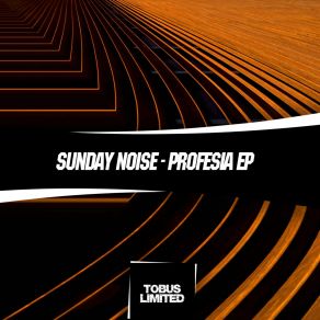 Download track Profesia Sunday Noise