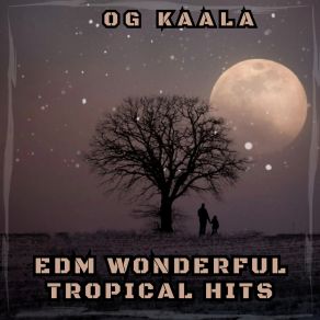 Download track Endless Holiday OG KAALA