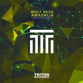 Download track Acid Atmosphere (Radio Edit) Amadalia