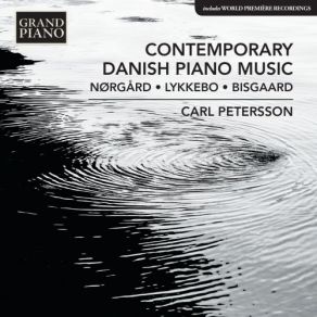 Download track Piano Sonata In One Movement, Op. 6 (Revised 1957 Version) Carl Petersson