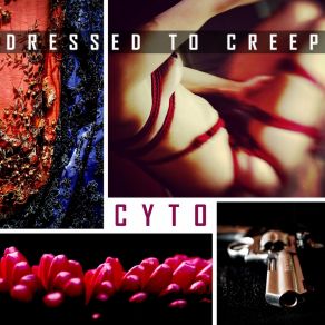 Download track Dressed To Creep (Rob Dust's Instrumental) CytoRob Dust