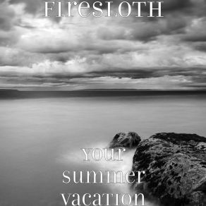 Download track Your Summer Vacation (Radio Edit) Firesloth