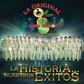 Download track Si No Te Hubieras Ido La Original Banda Limon De Salvador Lizarraga