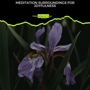 Download track Relaxing Rays Spa Zen Melodies