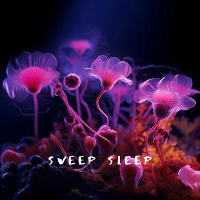 Download track Mood Sweep SleepRainbow Strings