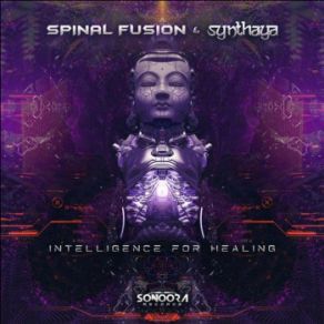 Download track Intelligence For Healing Spinal Fusion, Synthaya