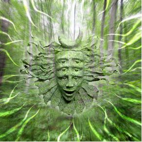 Download track Shpongle (Live Band) Set Shpongle