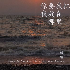 Download track 一个人是孤独的海 沈蜜