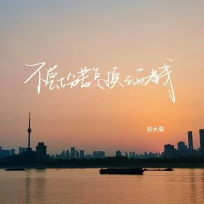 Download track 不尝七分苦怎换三两钱 (伴奏) 衫大哥