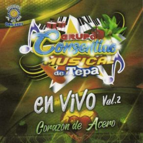 Download track El Violincito De Tepa Grupo Consentido Musical De Tepa