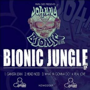 Download track Head Nod Johnny Bionic