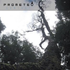 Download track City Prometeo