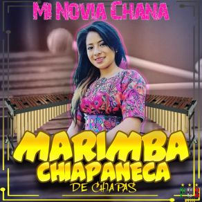 Download track La Suegra Marimba Chiapaneca De Chiapas