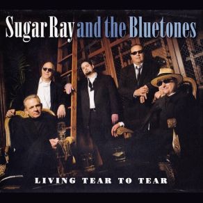 Download track Here We Go The Bluetones, Sugar Ray