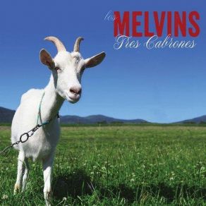 Download track 99 Bottles Of Beer Melvins